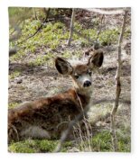 Mule Deer Fawn Fleece Blanket by Marilyn Burton - Pixels
