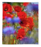 Red Poppies in the Maedow Photograph by Heiko Koehrer-Wagner - Fine Art ...