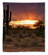 Sun Rays Over the Sonoran Desert Photograph by Saija Lehtonen - Fine ...