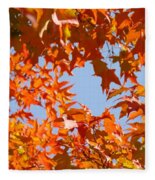 Red Orange Yellow Autumn Leaves art prints Vivid Bright by Patti Baslee