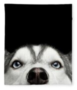 Closeup Siberian Husky Puppy Different Eyes Tote Bag by Sergey