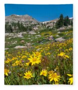 Indian Peaks Summer Wildflowers Photograph by Cascade Colors - Fine Art ...
