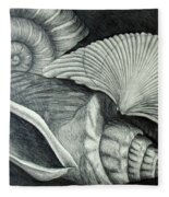 Shells Drawing by Nancy Mueller - Fine Art America