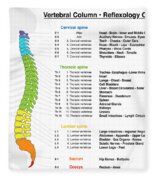 Vertebral Column Reflexology Chart T-Shirt by Peter Hermes Furian