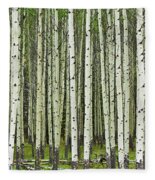 White Aspen tree trunks iPhone 14 Plus Case by Neale And Judith