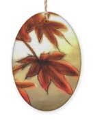 Colors of Fall - Holiday Ornament Product by Matthias Zegveld