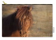 Shetland Pony At Sunset Carry-all Pouch by Michelle Wrighton