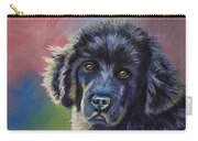 Rainbows And Sunshine - Newfoundland Puppy Carry-all Pouch by Michelle Wrighton