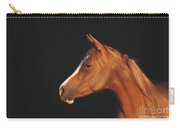 Soulful Gaze Of A Horse Carry-all Pouch