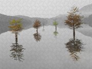 Hanging Garden Jigsaw Puzzle Hanging Garden Jigsaw Puzzle
