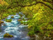 McArthur-Burney Falls Creek Painterly Digital Art by Bill Gallagher ...