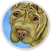 Beautiful Shar-pei Dog Portrait Round Beach Towel by Michelle Wrighton