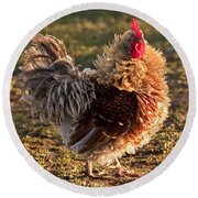 Frizzle Rooster Round Beach Towel