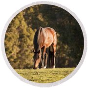 Grazing Horse At Sunset Round Beach Towel by Michelle Wrighton