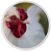 White Rooster Round Beach Towel