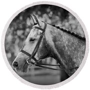 Grey Show Horse In Black And White Round Beach Towel by Michelle Wrighton