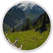 Mount Rainier National Park Carbon River Far Below Photograph by ...
