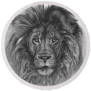 Lion - charcoal drawing Drawing by Iulian Cetanas