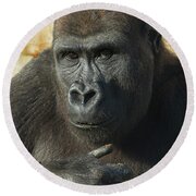 Gorilla Lope's Grin Throw Pillow for Sale by rawshutterbug