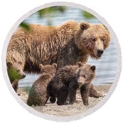 Mama Bear #2 by Sissy Schneiderman