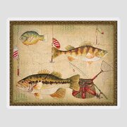 Fish Trio-A-Basket Weave Border Painting by Jean Plout - Fine Art America