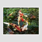 Japanese Koi Fish Pond Throw Pillow for Sale by Jennie Marie Schell