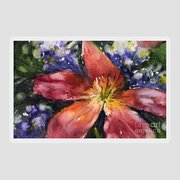 Red Daylily Sticker Red Daylily Sticker