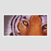 Eye of the Tiger - Art Sticker by Matthias Zegveld