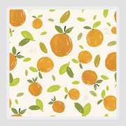 Hand painted oranges fruit seamless pattern design with citrus fruit on  cream background Drawing by Julien - Pixels