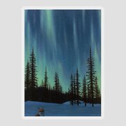 Night Sky Light Sticker Night Sky Light Sticker