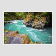Quinault River Bend Photograph by Inge Johnsson - Fine Art America