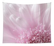 Pastel Daisy Tapestry Pastel Daisy Tapestry