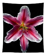Pictures XXL art on canvas 78" x 39" framed motive pink lily flower 6344 