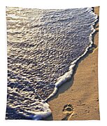 Tropical beach with footprints Photograph by Elena Elisseeva - Fine Art ...