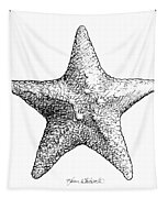 Starfish drawing Black and White Stock Photos & Images - Alamy