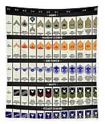 United States Armed Forces Enlisted Rank Insignia Poster by Zapista OU