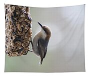 Brown-headed Nuthatch Tapestry Brown-headed Nuthatch Tapestry