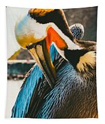 https://render.fineartamerica.com/images/rendered/small/flat/tapestry/images/artworkimages/medium/3/brown-pelican-grooming-bonny-puckett.jpg?transparent=0&targetx=0&targety=-130&imagewidth=794&imageheight=1190&modelwidth=794&modelheight=930&backgroundcolor=2B2D24&orientation=0&producttype=tapestry-50-61