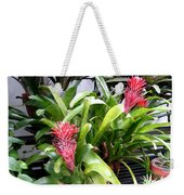 Bromeliads at the Biltmore Estates Bath Towel by Marian Bell
