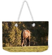 Grazing Horse At Sunset Weekender Tote Bag by Michelle Wrighton