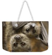 Hang in There Weekender Tote Bag Hang in There Weekender Tote Bag