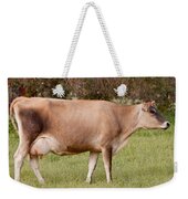 Jersey Cow In Pasture Weekender Tote Bag