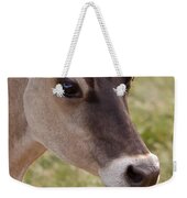 Jersey Cow Portrait Weekender Tote Bag