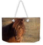 Shetland Pony At Sunset Weekender Tote Bag by Michelle Wrighton