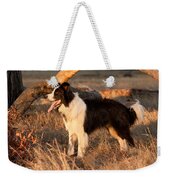 Border Collie At Sunset Weekender Tote Bag by Michelle Wrighton