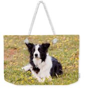 Border Collie In Field Of Yellow Flowers Weekender Tote Bag by Michelle Wrighton