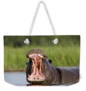 Hippo Displaying Weekender Tote Bag Hippo Displaying Weekender Tote Bag