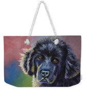 Rainbows And Sunshine - Newfoundland Puppy Weekender Tote Bag by Michelle Wrighton