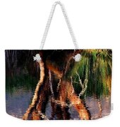 Reflections Weekender Tote Bag by Michelle Wrighton