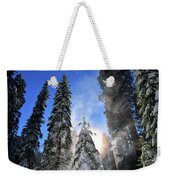 Giant Forest #4, Sequoia National Park, January 2017 Throw Pillow by  Timothy Giller - Pixels